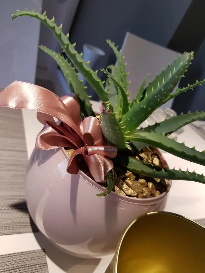 Art B&B Design Costa Volpino Bed & Breakfast